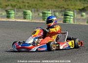 DSC_7244 copie